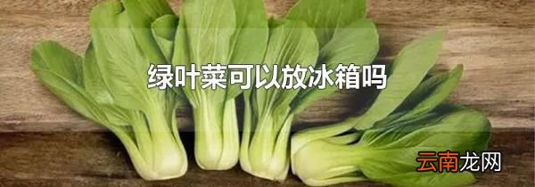绿叶菜可以放冰箱吗