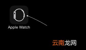 苹果手表怎么改名字