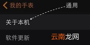 苹果手表怎么改名字