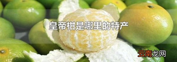 皇帝柑是哪里的特产