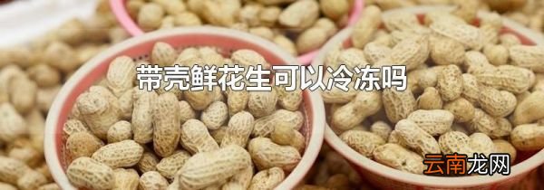 带壳鲜花生可以冷冻吗