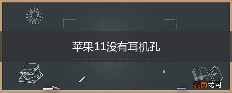 苹果11没有耳机孔