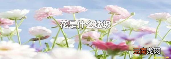 花是什么垃圾