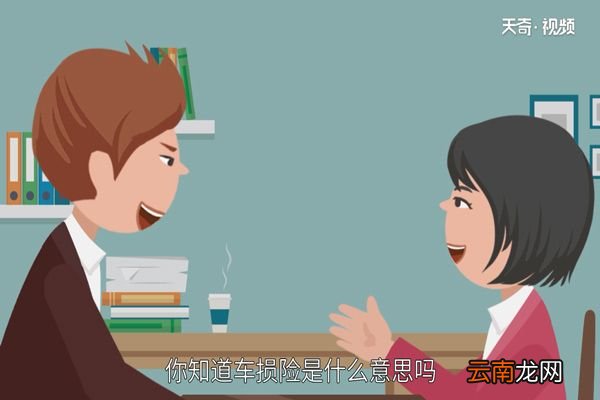 车损险是什么意思