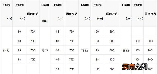 文胸尺码对照表