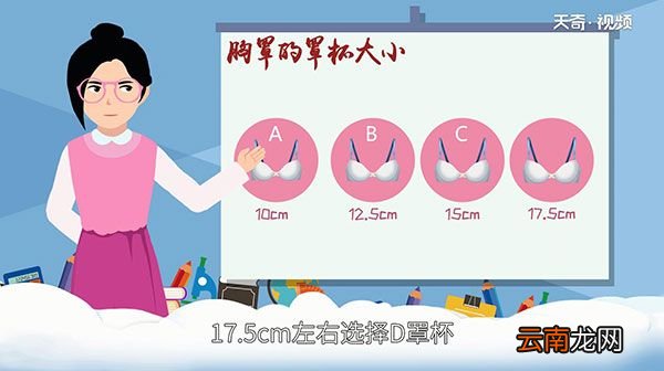 文胸尺码对照表