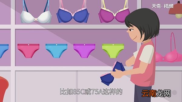 文胸尺码对照表