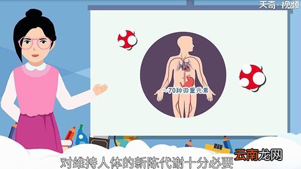 微量元素有哪些