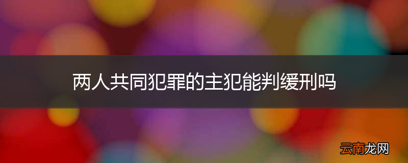 两人共同犯罪的主犯能判缓刑吗