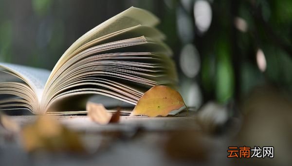 呼啸山庄的作者是谁 呼啸山庄的创作背景是什么