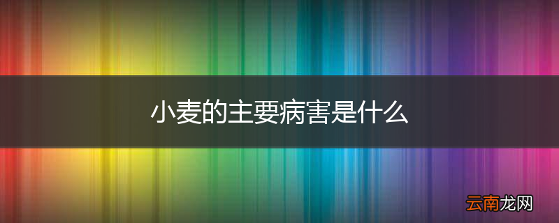 小麦的主要病害是什么