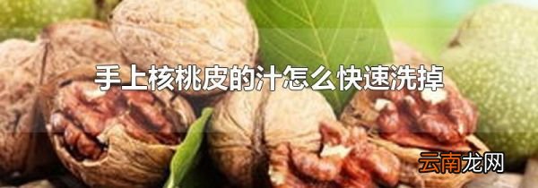 手上核桃皮的汁怎么快速洗掉