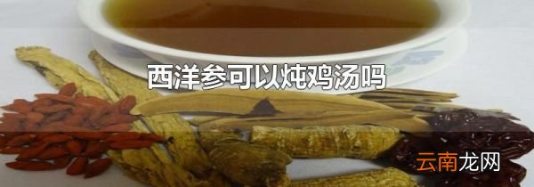 西洋参可以炖鸡汤吗
