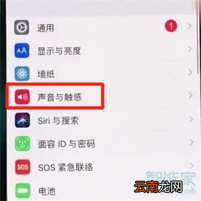 苹果11怎么改铃声