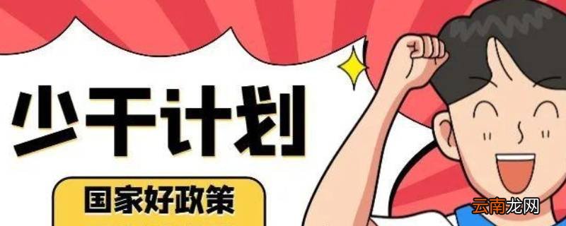 少干计划专业如何分配