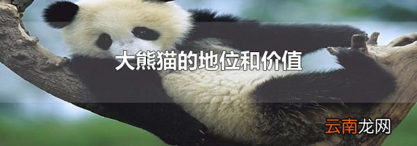 大熊猫的地位和价值