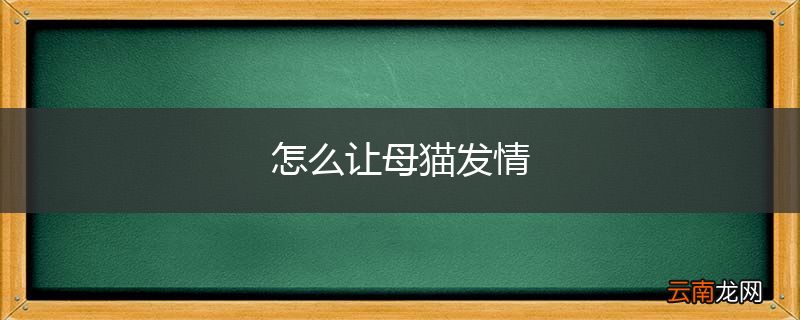 怎么让母猫发情