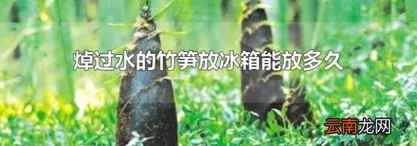 焯过水的竹笋放冰箱能放多久
