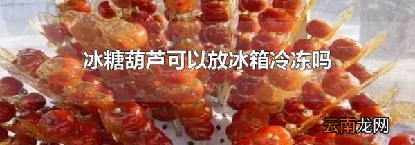 冰糖葫芦可以放冰箱冷冻吗