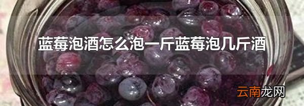 蓝莓泡酒怎么泡一斤蓝莓泡几斤酒