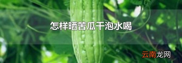 怎样晒苦瓜干泡水喝