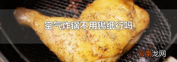 空气炸锅不用锡纸行吗