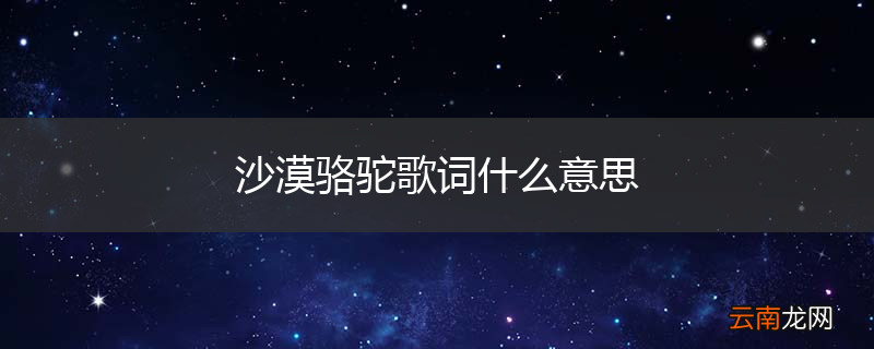 沙漠骆驼歌词什么意思