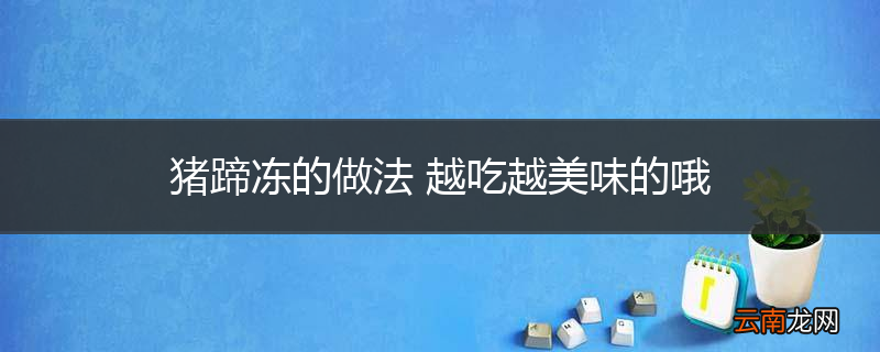 猪蹄冻的做法 越吃越美味的哦