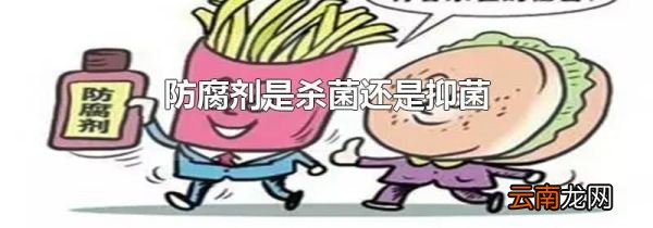 防腐剂是杀菌还是抑菌