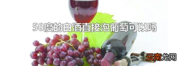 50度的白酒直接泡葡萄可以吗