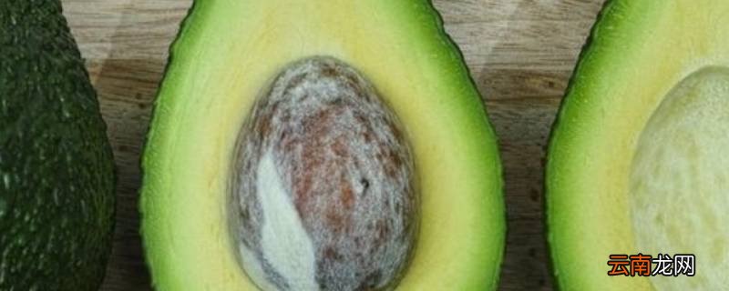avocado是牛油果还是鳄梨