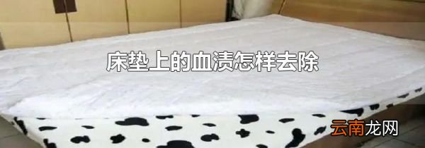床垫上的血渍怎样去除