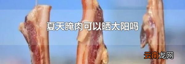 夏天腌肉可以晒太阳吗