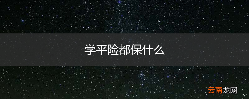 学平险都保什么