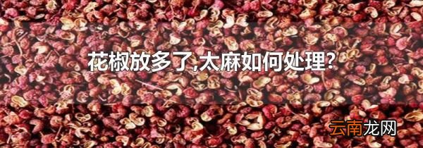 花椒放多了,太麻如何处理?