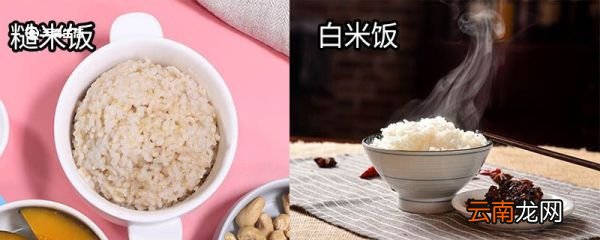白米饭跟糙米饭的区别 白米饭跟糙米饭区别