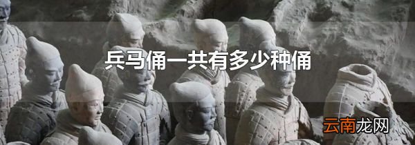 兵马俑一共有多少种俑