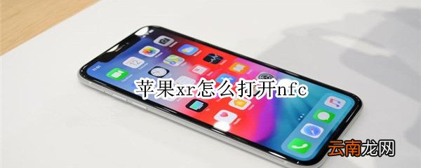 苹果xr怎么打开nfc