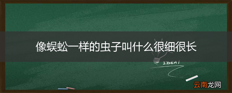 像蜈蚣一样的虫子叫什么很细很长