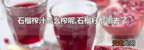 石榴榨汁怎么榨呢,石榴籽都哪去了