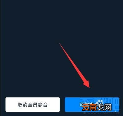 钉钉视频会议怎么禁止他人加入？钉钉视频会议禁止加入的教程