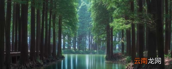 生态木是什么材料制成的 生态木的材质