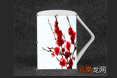 Photoshop给杯子贴图的图文操作方法