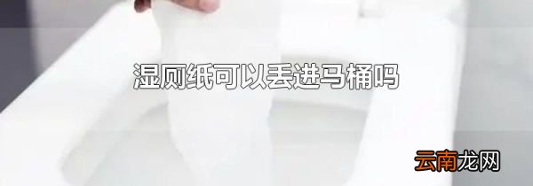 湿厕纸可以丢进马桶吗