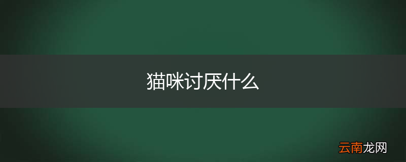 猫咪讨厌什么