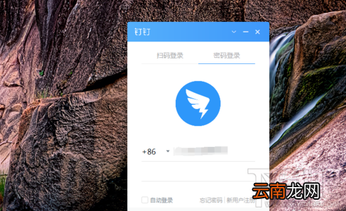 钉钉投屏功能在哪里?阿里钉钉投屏码功能使用教程