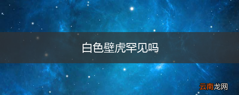白色壁虎罕见吗