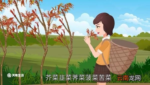 春分吃什么传统食物 春分吃什么食物