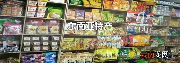 东南亚特产