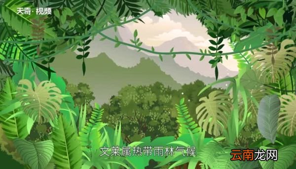 文莱在哪 文莱位于哪里